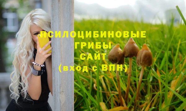 2c-b Бугульма