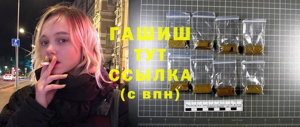 стаф Богданович