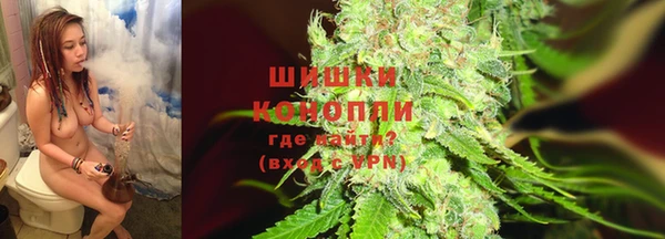 стаф Богданович