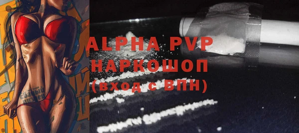 стаф Богданович